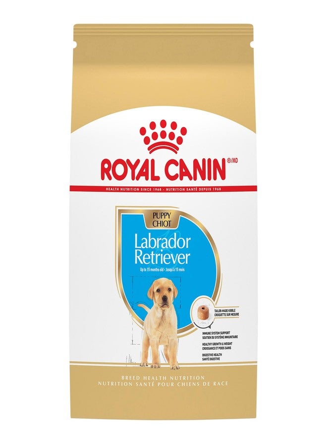 Royal Canin Breed Health Nutrition Labrador Retriever Puppy Dry Dog Food, 2.5 lb Bag - Image 1